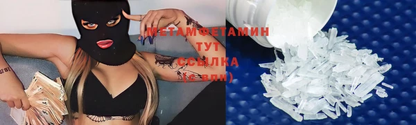 ПСИЛОЦИБИНОВЫЕ ГРИБЫ Бородино