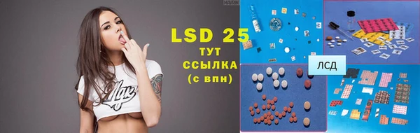 ПСИЛОЦИБИНОВЫЕ ГРИБЫ Бородино
