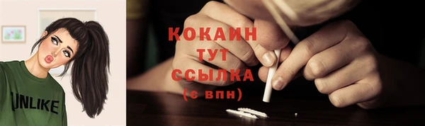 ПСИЛОЦИБИНОВЫЕ ГРИБЫ Бородино