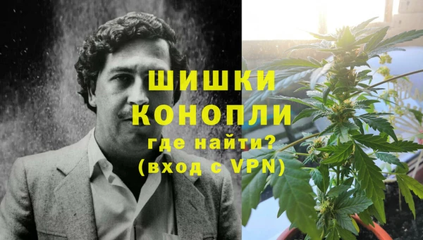 ПСИЛОЦИБИНОВЫЕ ГРИБЫ Бородино