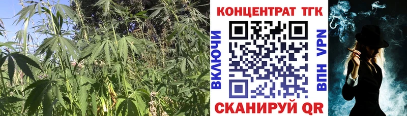 ТГК концентрат  Купить где  Мостовской 