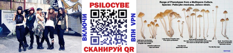 Псилоцибиновые грибы GOLDEN TEACHER  Купить  Мостовской 